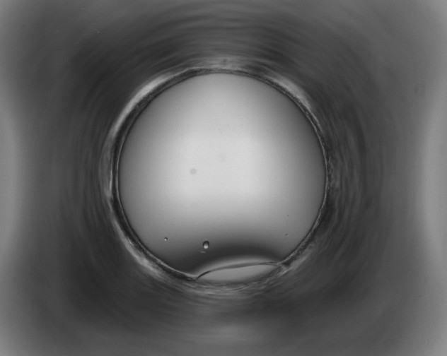 X0000086221131200704191733