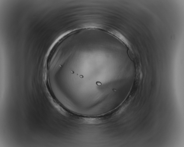 X0000086221132200704191733