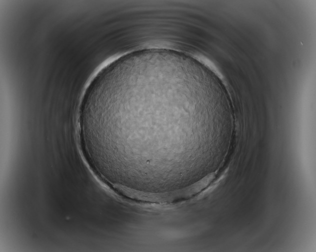 X0000086221133200704191733