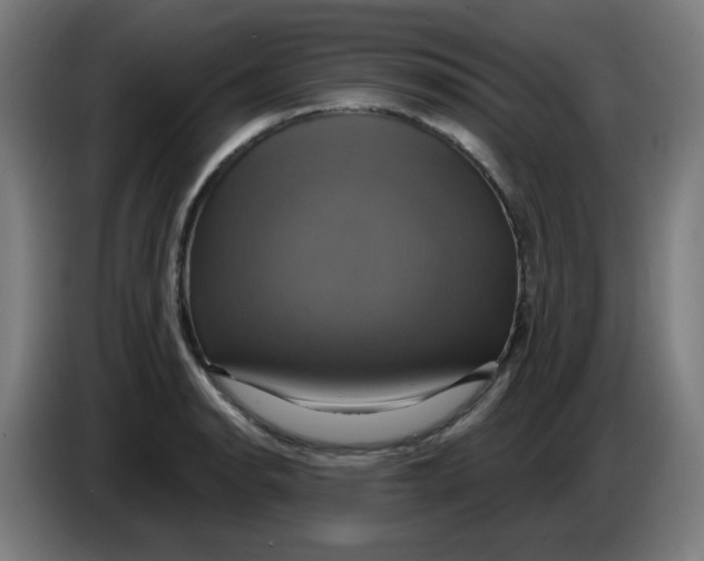 X0000086221134200704191733