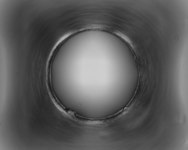 X0000086221135200704191733