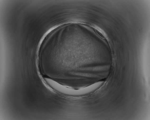 X0000086221136200704191733