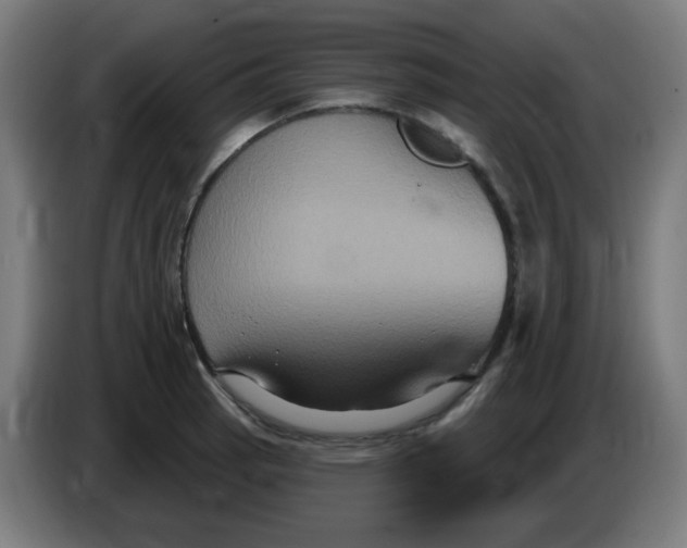 X0000086221137200704191733