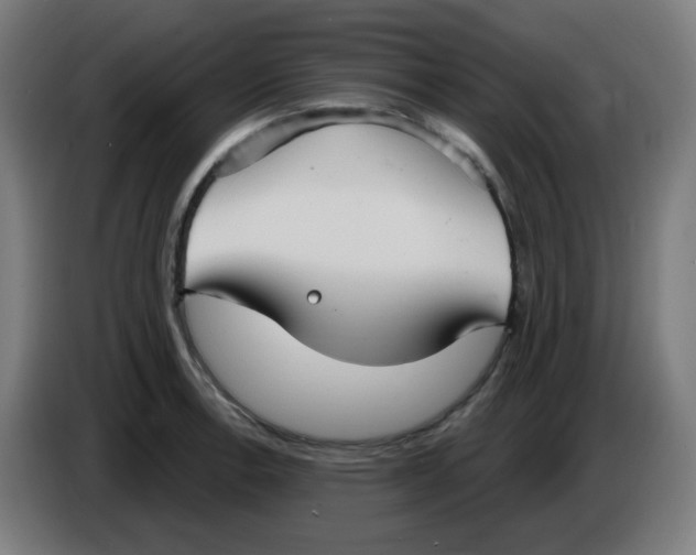 X0000086221138200704191733