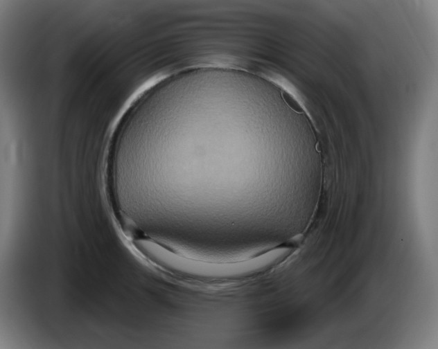 X0000086221139200704191733