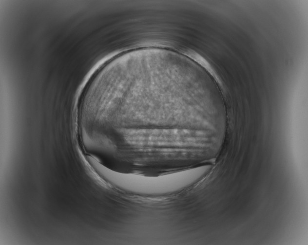 X0000086221140200704191733