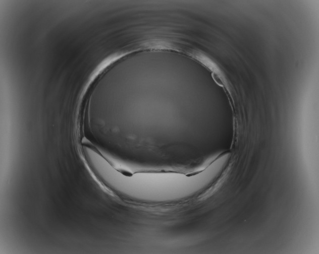 X0000086221141200704191733