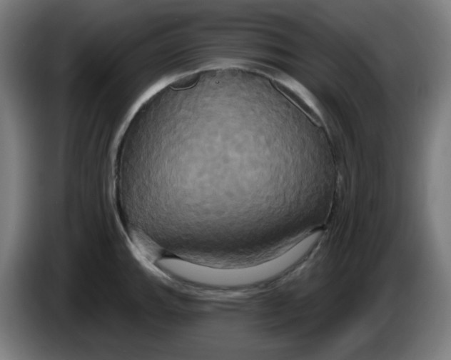 X0000086221143200704191733