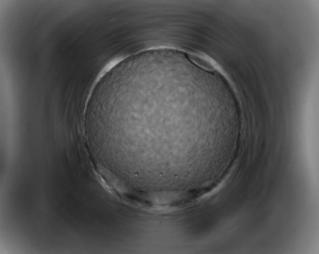 X0000086221145200704191733