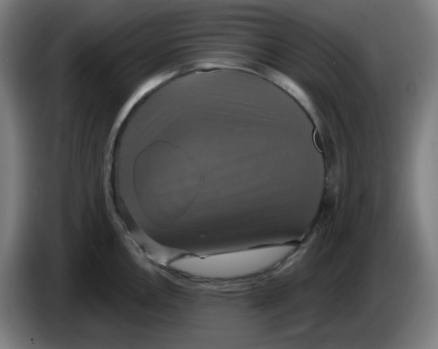 X0000086221146200704191733