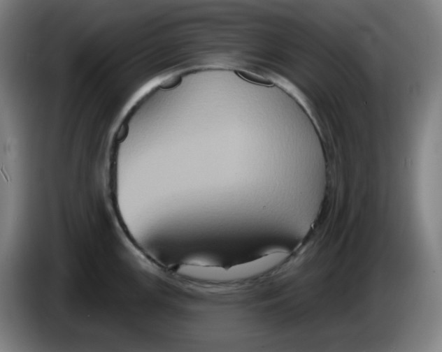 X0000086221147200704191733