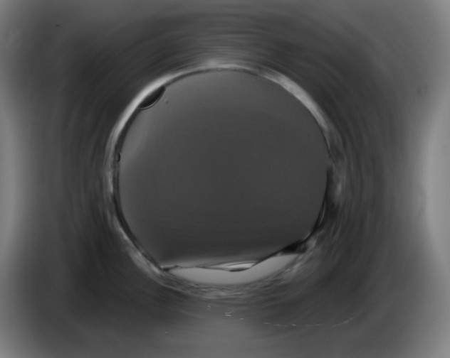 X0000086221148200704191733