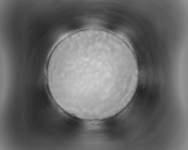 X0000086221150200704191733