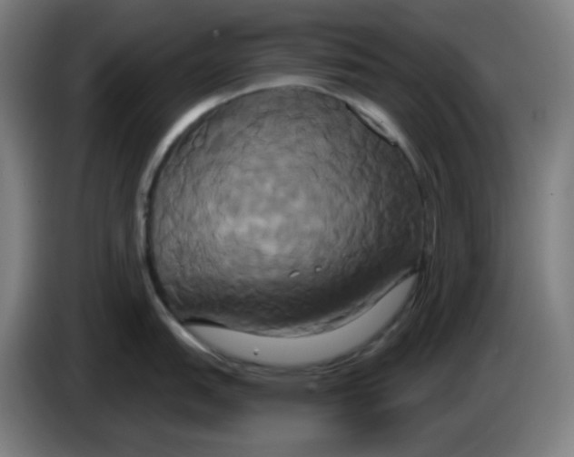 X0000086221151200704191733