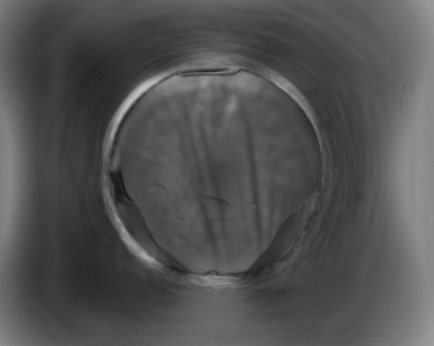 X0000086221152200704191733