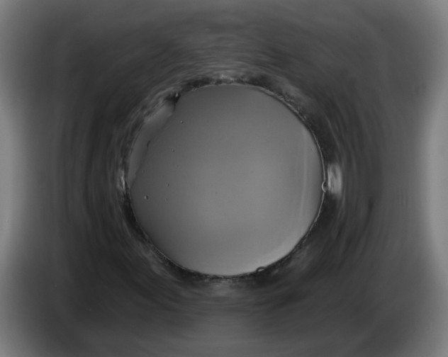 X0000086221155200704191732