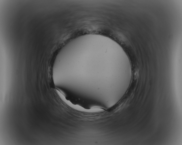 X0000086221156200704191732