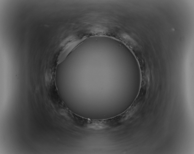 X0000086221157200704191732