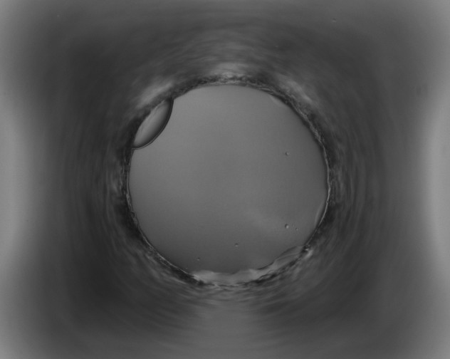 X0000086221158200704191732