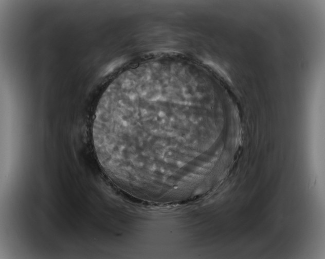 X0000086221159200704191732