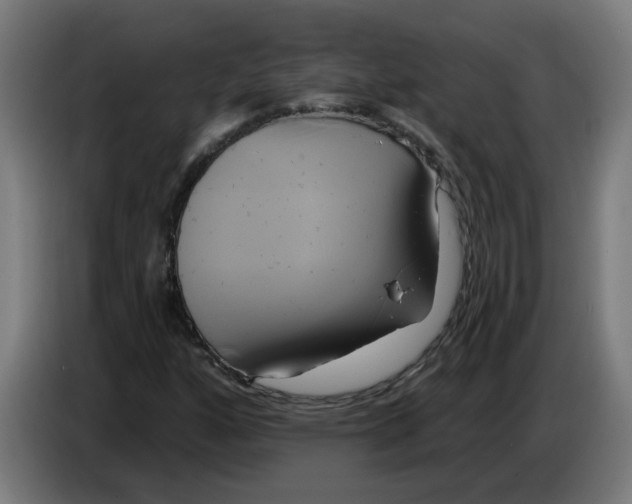 X0000086221160200704191732