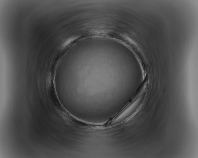 X0000086221161200704191732