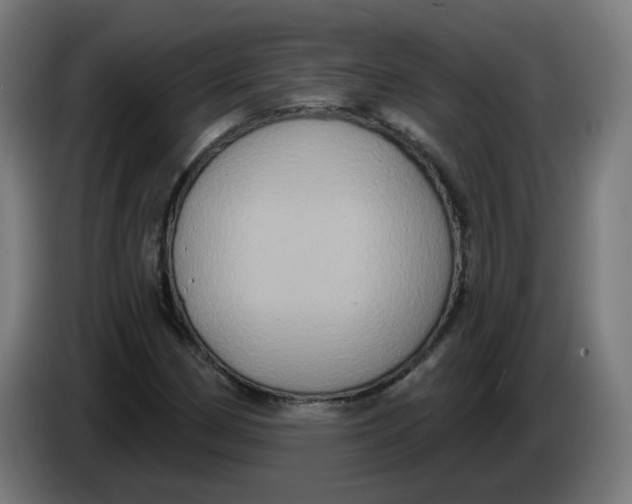 X0000086221162200704191732