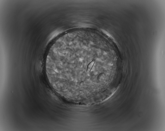 X0000086221163200704191732