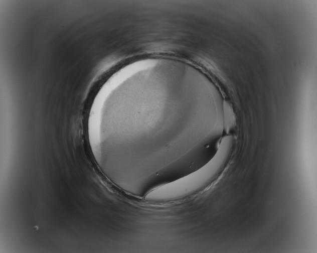 X0000086221164200704191732