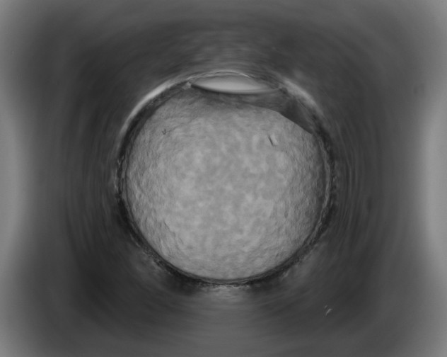 X0000086221166200704191732