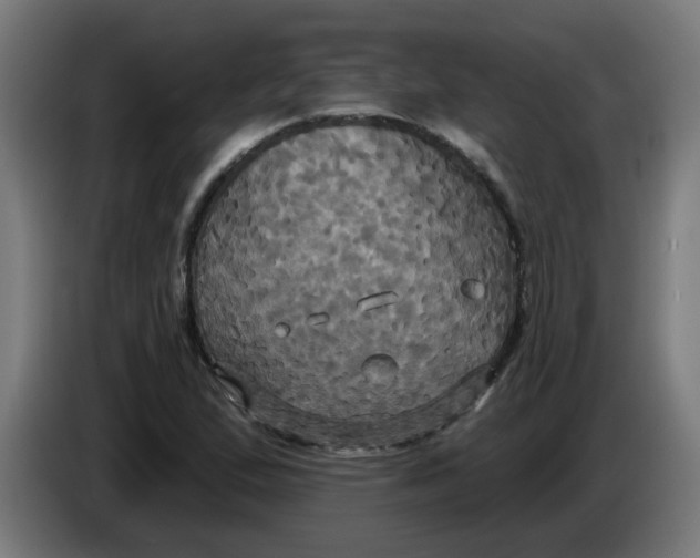 X0000086221167200704191732