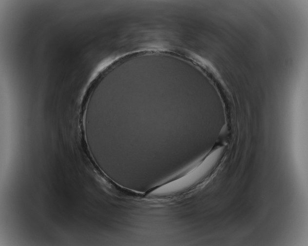 X0000086221168200704191732