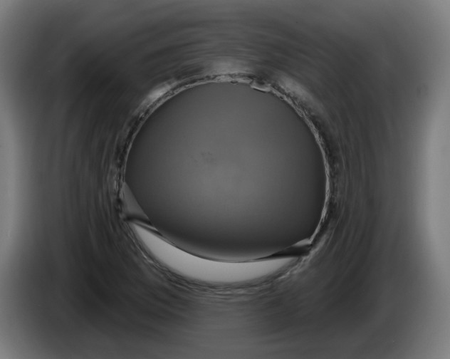 X0000086221169200704191732