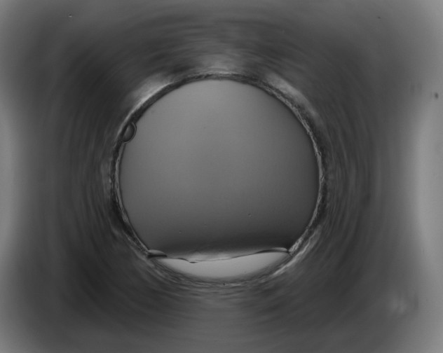 X0000086221170200704191732