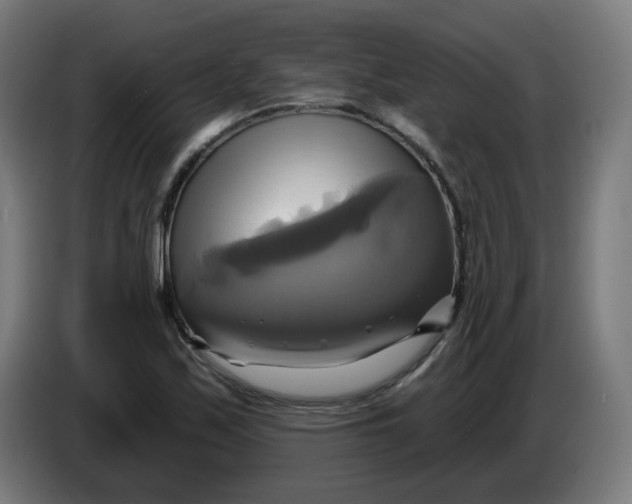 X0000086221171200704191732