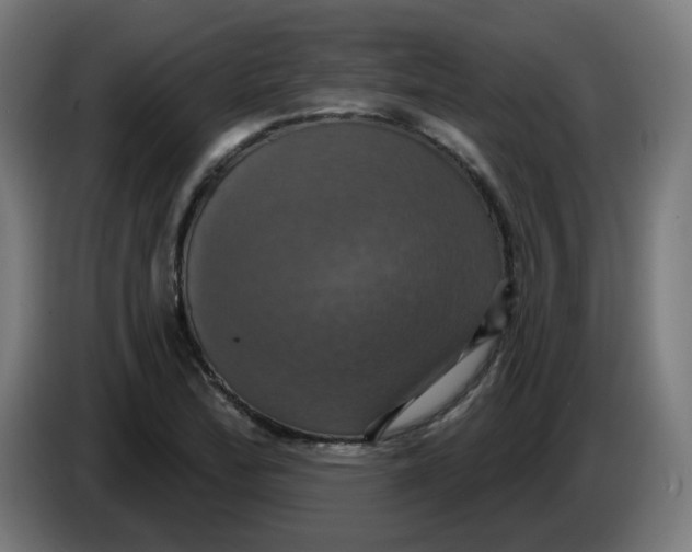 X0000086221172200704191732