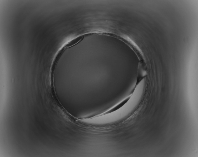 X0000086221173200704191732