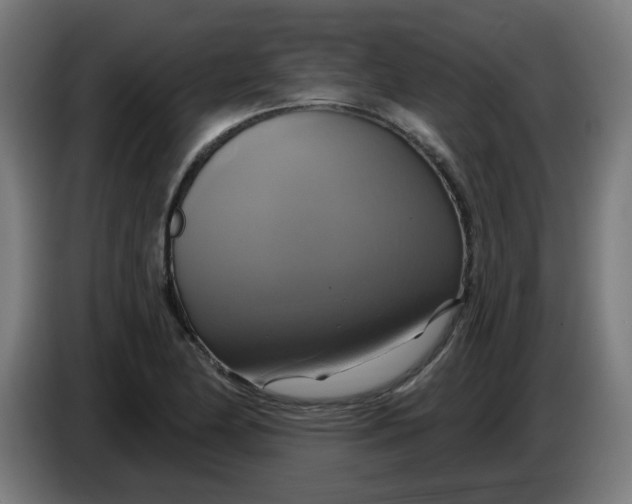 X0000086221174200704191732