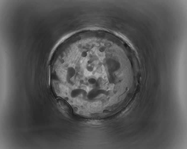 X0000086221175200704191732