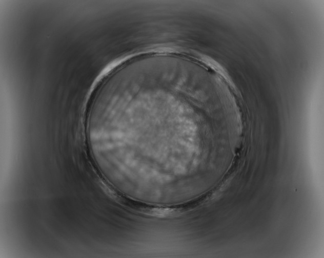 X0000086221176200704191732