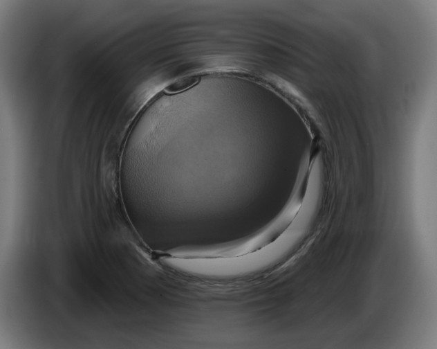 X0000086221177200704191732