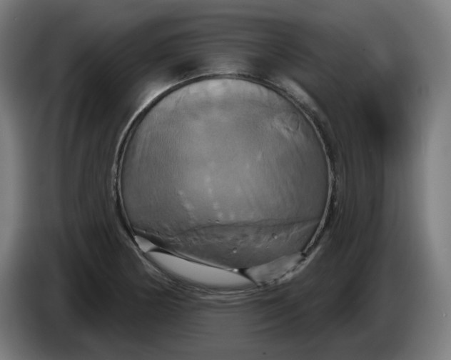 X0000086221178200704191732