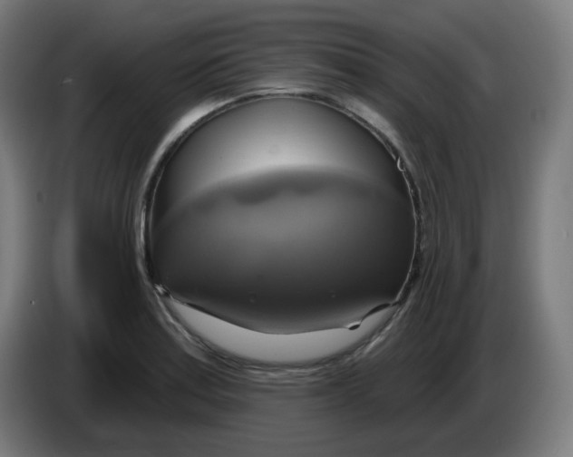 X0000086221179200704191732