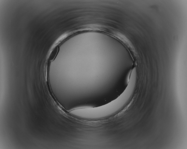 X0000086221180200704191732