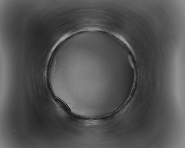 X0000086221181200704191732