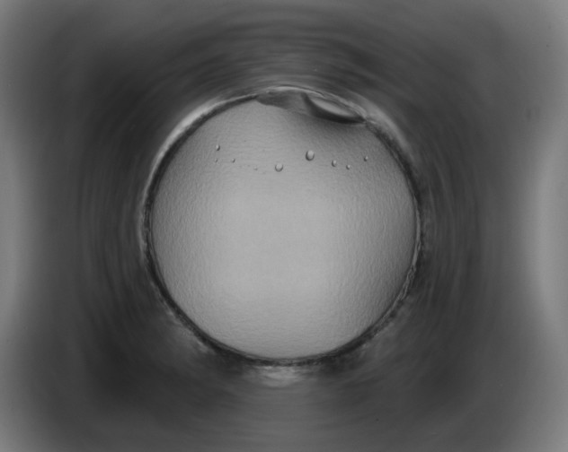 X0000086221182200704191732