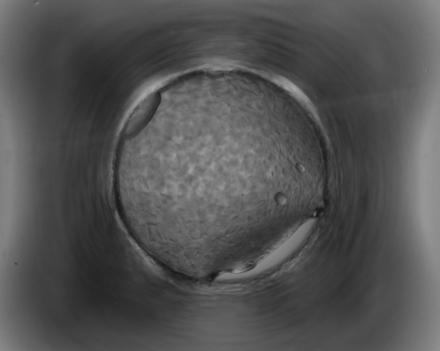 X0000086221183200704191732