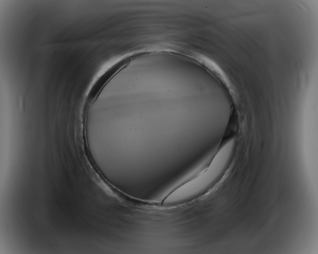 X0000086221184200704191732