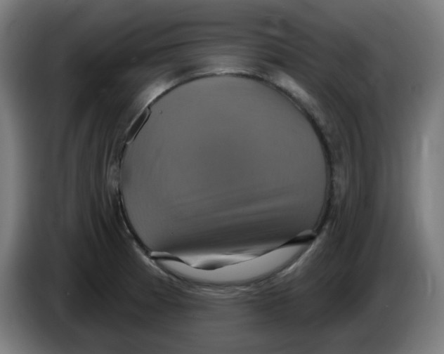 X0000086221185200704191732