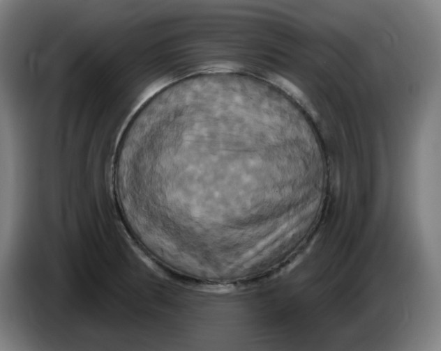 X0000086221186200704191732